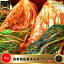 ◆冷蔵◆ 予約注文(金曜日発送) 韓国 本場の味！ 自家製 白菜 キムチ 1kg /　キムチ ダイエット 美味しい キムチ 牛丼 キムチ おかず 韓国