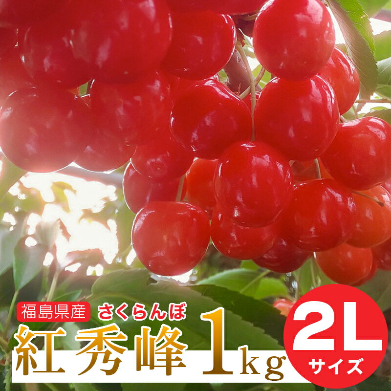 さくらんぼ さくらんぼ紅秀峰 2L【予約注文6月下旬頃から発送】送料無料！福島県産さくらんぼ 紅秀峰 2Lサイズ 1kg バラ詰め ご家庭用 贈答品 ギフト 贈り物 福島県 伊達市産 産地直送 ふくしまプライド