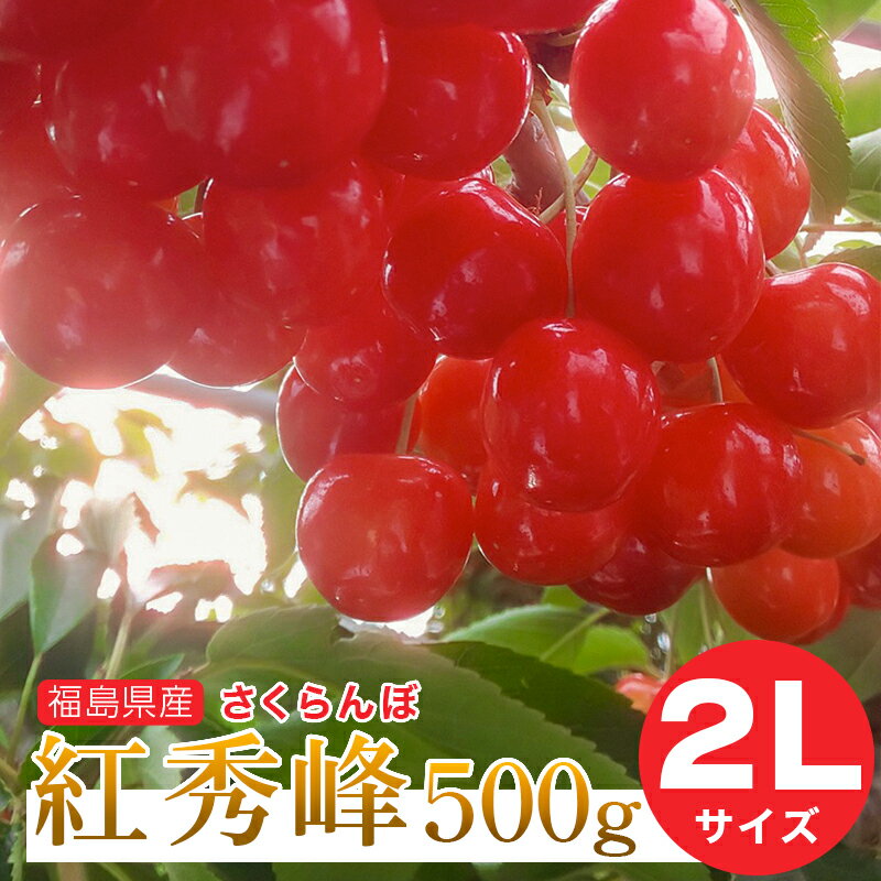 さくらんぼ 【予約注文6月下旬頃から発送】送料無料！福島県産さくらんぼ 紅秀峰 2Lサイズ 500g バラ詰め ご家庭用 贈答品 ギフト 贈り物 福島県 伊達市産 産地直送 ふくしまプライド