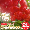 【予約注文6月下旬頃から発送】送料無料！福島県産さくらんぼ 紅てまり 2Lサイズ 500g バラ詰め ...