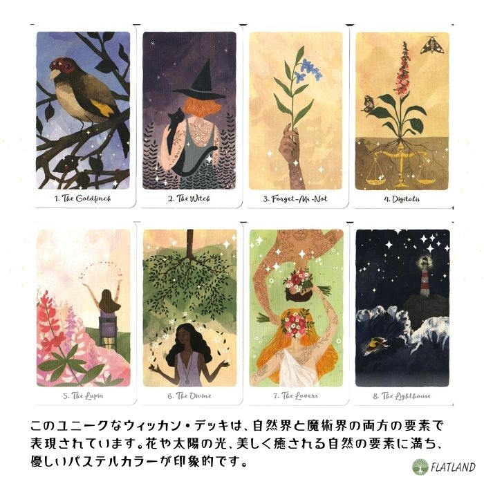 ハーモニー タロット The Harmony Tarot タロット占い 日本語解説書付き 正規品 送料無料 タロットカード 78枚 魔女 3