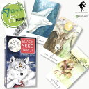 ブラック シード タロット Black Seed Tarot タロット占い方 日本語解説書付き 正規品 タロットカード 78枚 動物 水彩 テレサ・ハッチ