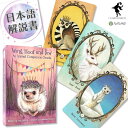 【日本語解説書付き】ウィング・フーフ・アンド・パウ:アニマル コンパニオン オラクル Wing, Hoof and Paw: An Animal Companion Oracle オラクルカード 正規品 動物 アニマル セラピー