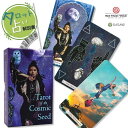 タロット オブ ザ コズミック シード Tarot of the Cosmic Seed タロット占い方 日本語解説書付き 正規品 タロットカード 78枚 宇宙