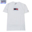 SALE50%OFF TOMMY JEANS g~[ W[Y Timeless TOMMY S Rbg TVc   23/2/1 020223yz 23.10sage