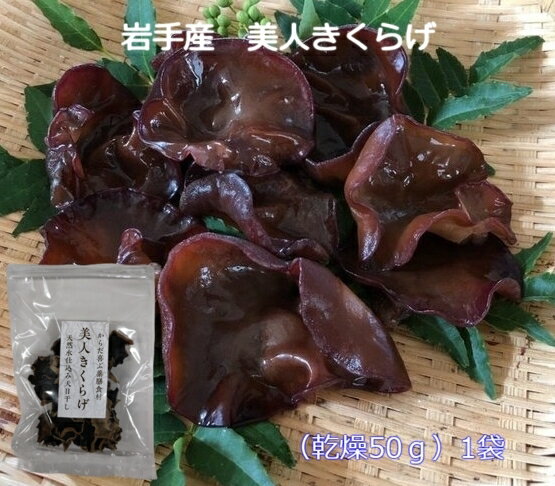 《期間限定クーポン》《送料無料》美人きくらげ 岩手県産 乾燥きくらげ 50g×1袋 きくらげ キクラゲ 乾燥キクラゲ 国産 日本産 ビタミンD 美容 便秘改善 ダイエット カルシウム きくらげは様々なお料理と合います。煮物、佃煮はもちろん、天ぷら、お刺身、味噌汁、焼肉と一緒に焼いてお好みのたれをからめていただいてもおいしいです。 美人きくらげは、その日その日の天候やきくらげの状況を見ながら水を掛けています。しかも天然水です。乾燥する時は、お日様の光をたくさん浴びて栄養価アップのため、1枚づつ丁寧に重ならないように並べて天日干ししています。その後、乾燥機に入れてさらにしっかり乾かします。それから、ひとつづつ手作業で選別します。きくらげは個性的な味はあまりないのですが、そのおかげで様々なお料理に合います。我が家では毎日メニューのどれにでも入ってるような時があり、カレーにも入ってます。きくらげの世界は無限だなと実感しています。 2