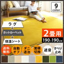 ホットカーペット 厚手 防音 『低反発高反発フランネルホットカーペットセット 〔ステップ〕 2畳(190x190cm) 本体+カバー』 正方形 2畳 二畳 低反発 高反発 フランネル 滑り止め 無地 カバー ラグ 防ダニ 洗える 電気カーペット シンプル セット