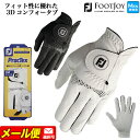 FootJoy フットジョイ ゴルフ ゴルフグローブ 左手着用 □