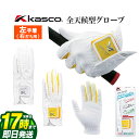 Kasco キャスコ ゴルフ SF-1716 オールウェザー グローブ 全天候型グローブ (左手着/右打ち用) (メンズ)