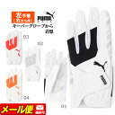 【FG】【SALE・セール】【日本正規品】PUMA プーマ ゴルフ 041879 PWR グリップ グローブ (左手着/右打ち用) (メンズ)