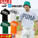 【FG】【50％OFF・半額以下・SALE・セール】【日本正規品】春 夏 PUMA プーマ ゴルフウェア 622402 セッショクレイカン ビッグロゴ SS モックネック シャツ （メンズ）