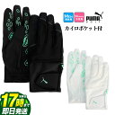 【FG】【SALE・セール】【日本正規品】PUMA プーマ ゴルフ 042060 シャドウ ウィンター グローブ (メンズ)