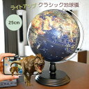 ラッピング可！地球儀 おすすめ (110青) 25cm 公式ショップ1年保証 特典有 【当店オススメ】 直販 しゃべる 子供用 AR クラシック LED ライト インテリア 小学生 子供 プレゼント アンティーク 知育玩具 学習玩具 おもちゃ かわいい おしゃれ お祝い