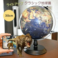 【本日限定クーポン！】シングルフレーム 地球儀 地勢図 行政図 両方付き 25cm 30c...