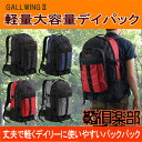 特典もれなくプレゼント お得クーポン有り ラッピング無料 正規品 母の日 父の日 ギフト 平野鞄 ひらのかばん ヒラノ GULLWING リュック デイパック ...