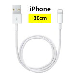 2A® ǡž ֥ USB iPhone ե ѵ ť֥30cm