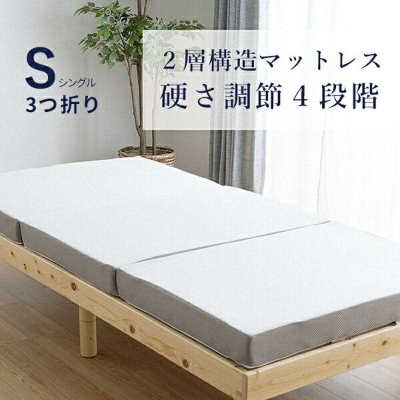 専門家の体験レビュー】コアラフトンOASISの特徴&寝心地を徹底 専門家の体験レビュー】コアラフトンOASISの特徴&寝心地を徹底