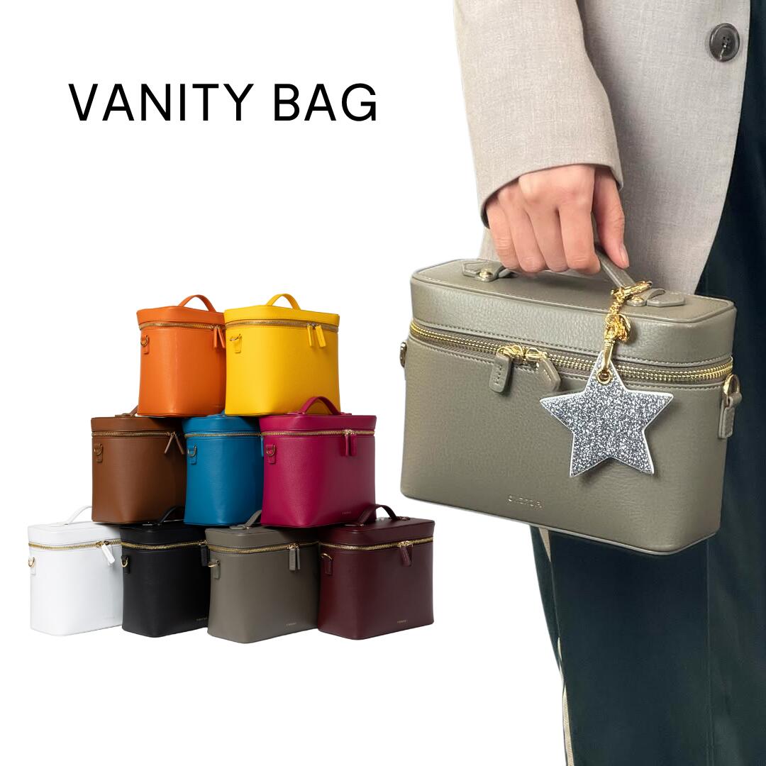 VANITY BAG ハンドバッグ ショルダーバッグ