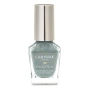 キャンメイク カラフルネイルズ N84 ヘイジーレイン 8ml ネイル 高発色 速乾 青緑 ゴールド パール
