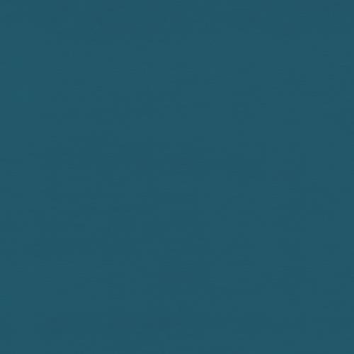 KIYOHARA カジュアル ナイロン タフタ 生地 無地 ナイロン100% 約140cm×50cm Col.SBL サックスブルー HMF16-50