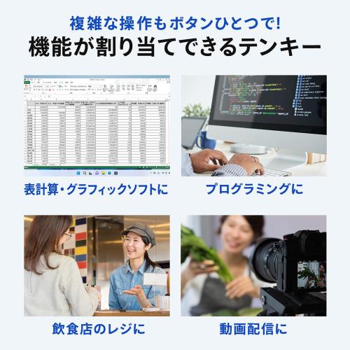 サンワサプライ プログラマブルテンキー（有線モデル） NT-26UBK