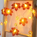ハロウィン 飾り カボチャ ライト LED ハロウィン かぼちゃ LED装飾 Halloween おばけ パンプキン ハロウィングッズ 装飾 ストリングライト USB充電式 ランタン 吊り下げ イルミネーション お化け (紅葉かぼちゃ, 3M)