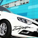 デカール 車 ステッカー フェンダー サイド リア 汎用 シール 日焼け止め 防水 ブラック (ブラック)