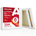 AUREUO 張りキャンバス セット SSM (22.7cmX22.7cm)) 中目 100%コットン 6枚 初心者 絵画用具 芸術絵創作 現代油絵 美術装飾 水彩画・油絵画・アクリル兼用