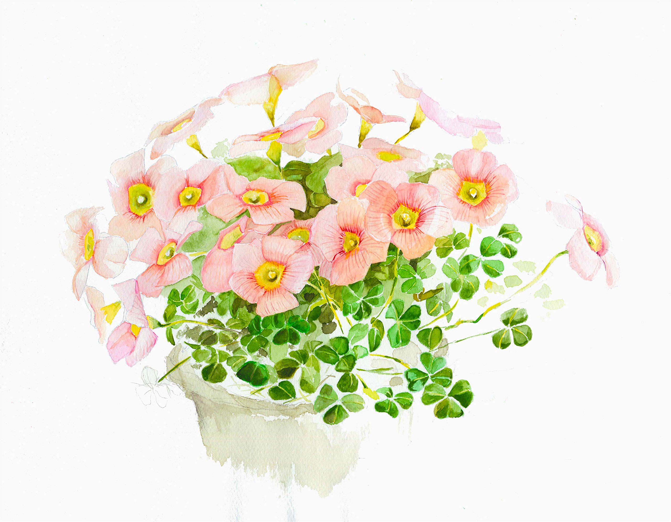 ミューズ 水彩紙 ホワイトワトソンブロック F4 300g ホワイト 15枚入り HW-304 F4