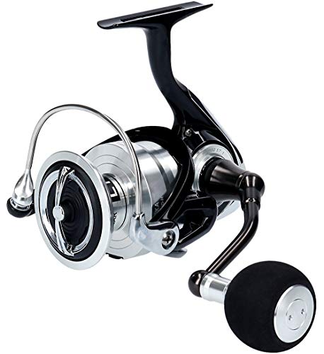 ダイワ(DAIWA) スピニングリール 19 レグザ LT6000D-H (2019モデル)