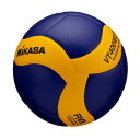 ミカサ(MIKASA) トレーニング用メディシンバレーボール 4号270g(一般・大学・高校生・中学生用) 青/黄 VT400W270 推奨内圧0.3(kgf/...