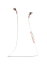 Jaybird Freedom Bluetooth 磻쥹 ۥɴ ݡĻ ԥ JBD-FDM-001PK 