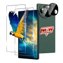2+2枚セット 対応 AQUOS R9 SH-51E ガラスフィルム 2枚 + レンズ保護フィルム 2枚 指紋認証 対応 AQUOS R9 フィルム 強化ガラス...