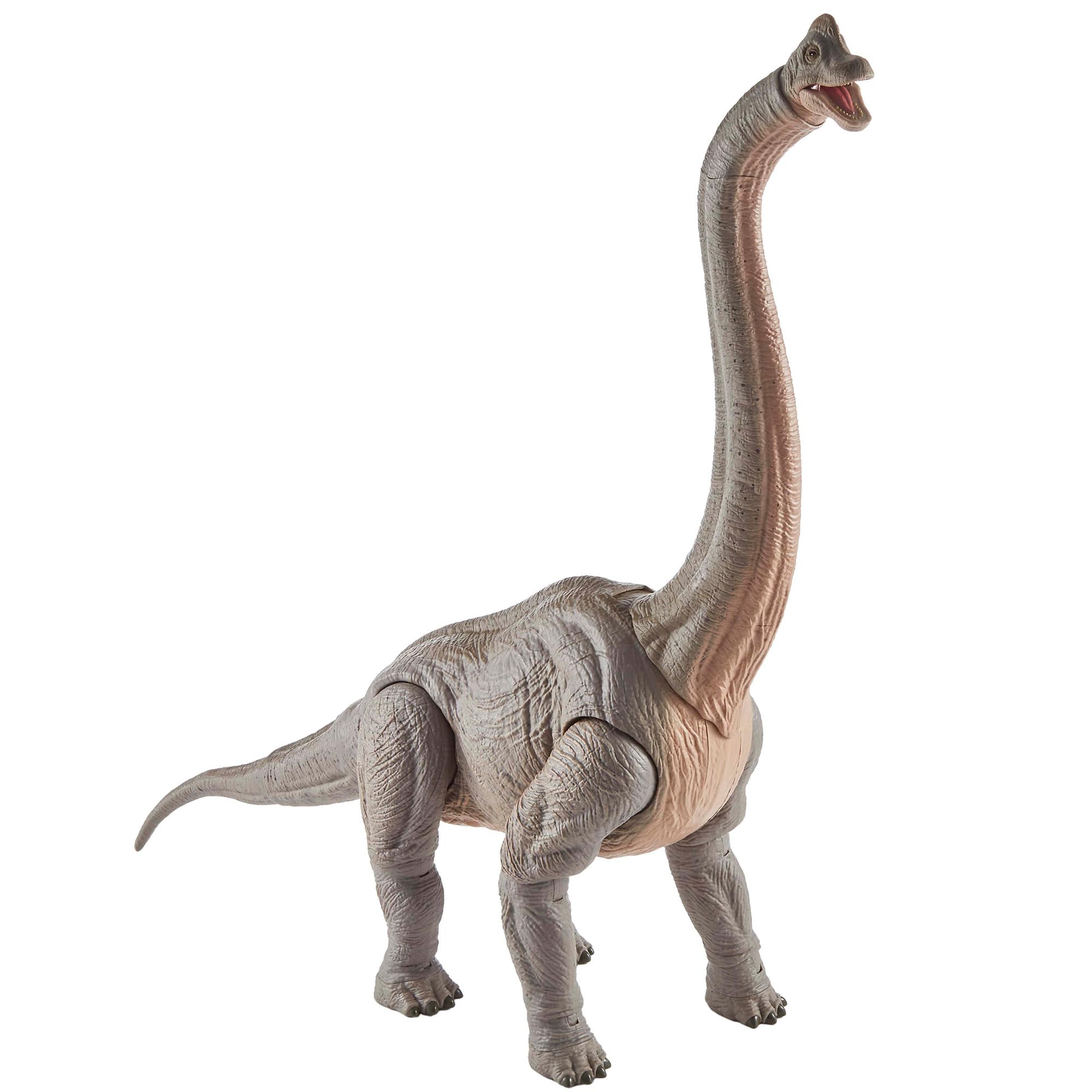 マテル ジュラシックワールド(JURASSIC WORLD) ハモンドコレクション ブラキオサウルス全長:最大約109恐竜 おもちゃ 8才~ HNY77_J