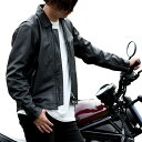 デイトナ(Daytona) バイク用 レザー ジャケット 本革(撥水加工) 春秋冬 シングル ライダース 襟あり DL-002 ブラック XLサイズ(メンズ) ...