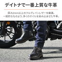 デイトナ(Daytona) バイク用 ダービーライドブーツ 本革 牛革(フルグレインレザー) シフトパッド くるぶしパッド内蔵 サイドジップ DS-001 ブラック 23.0cm/レディース