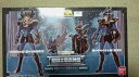 魂ウェブ 聖闘士聖衣神話 暗黒スワン&暗黒ドラゴン(ブラックスワン&ブラックドラゴン)