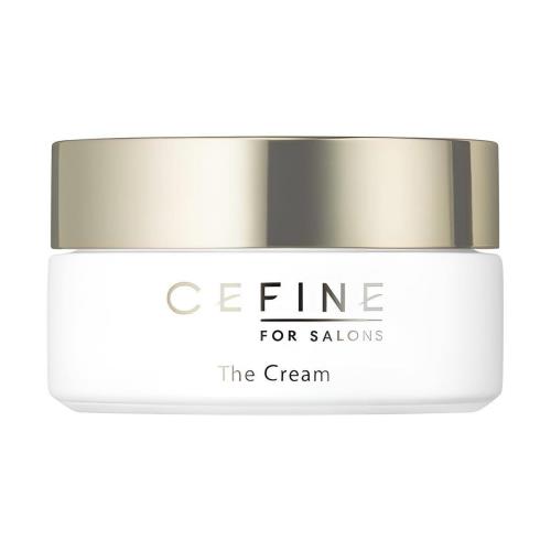 ե FOR SALONS ꡼ 30g