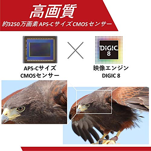 Canon �ǥ��������ե���� EOS 90D EF-S18-135 IS USM ��󥺥��å� EOS90D18135ISUSMLK