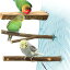 YINKE 止まり木 止まり台 爪を磨くりんごの木 自然木 爪を研ぎ パーチ インコ オウム 鳥 オウム 文鳥 ..