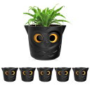 6個セットRESTMO 植木鉢 10.1 CM 自動給水プランター フクロウの目の水位計付きプラスチック おしゃれ 観葉植物、多肉植物、花、カクタス用 プレゼン...