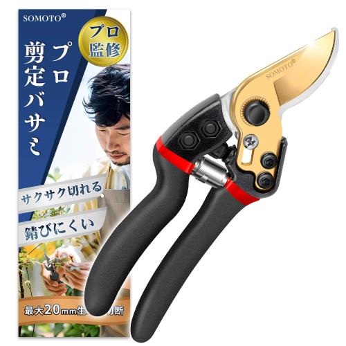 ץ¤δƽSOMOTO Х Ԥڤ̣  ݤϤ ڤϤ  䤹 Ӥˤ Ȥפ ѥ...