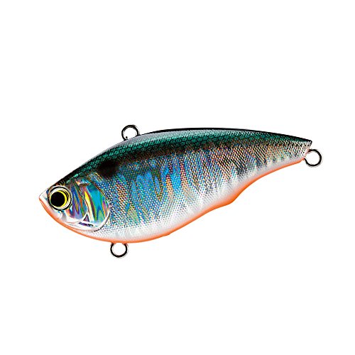 YO-ZURI(衼ť) 륢 Х֥졼 ȥХ 55mm GT :10.5g R1159-GT-꡼󥷥С ...
