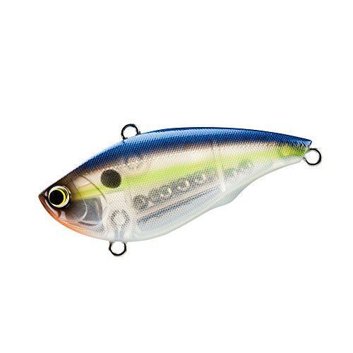 YO-ZURI(衼ť) 륢 Х֥졼 ȥХ 65mm GSPB :17g R1160-GSPB-ȥѡ...