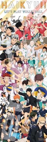 󥹥(ENSKY) ϥ塼!! HAIKYU!! CHRONICLES 34102cm ѥ 950ԡ JIGSA...