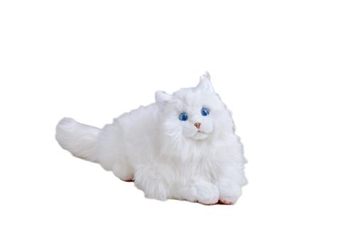 ե (SEGA FAVE) KIMIT (ߥå) 饰ɡ (ۥ磻) ڥå ܥå ǭ