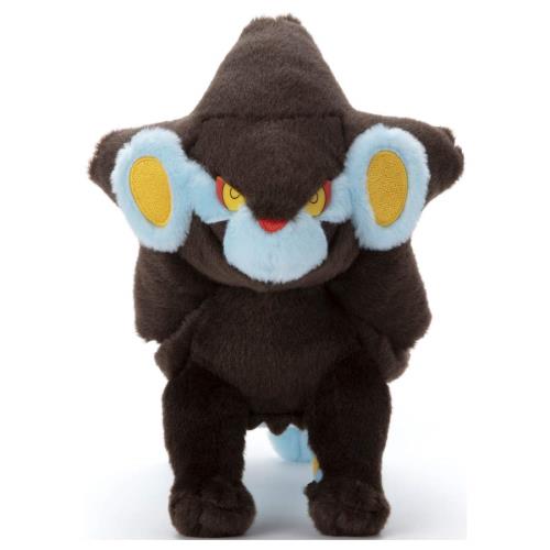 ݥåȥ󥹥 ݥ ߤˤ᤿! ̤ ȥ顼 ⤵23cm