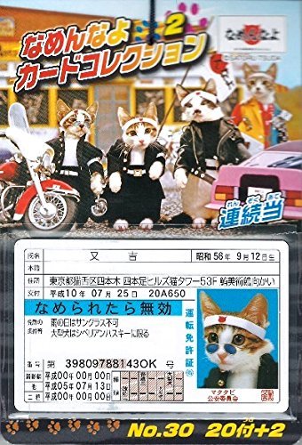 なめんなよカードコレクション2 当てエンスカイ 20付き1束 (20付き1束)