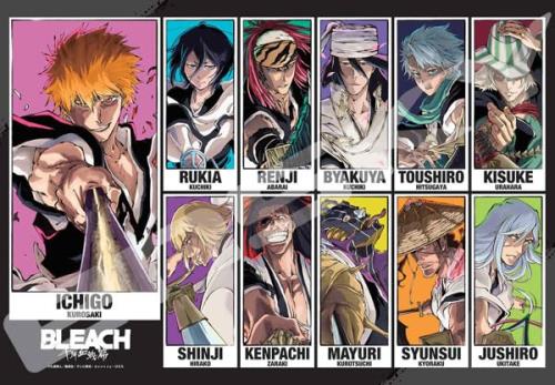 ѥ BLEACH ǯ BLEACH CALL YOUR NAME VISUAL 1000ԡ (1000T-537)