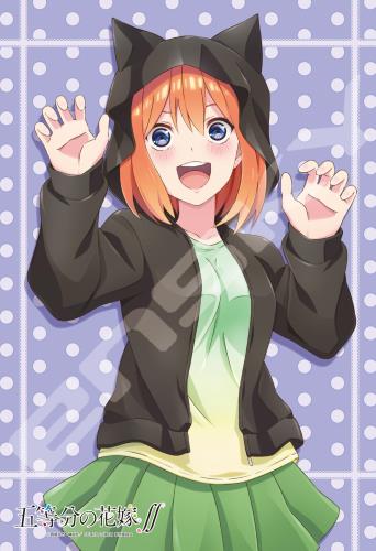 ѥ ʬβֲǢ  300ԡ (300-1919)